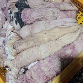 Thú linh bò