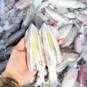 Mực trứng câu đông lạnh 20-30 con/kg