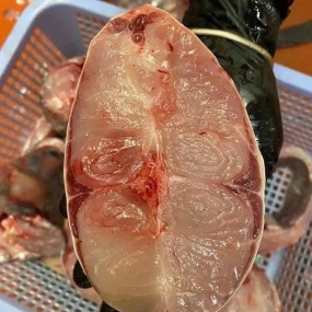 Cá trắm đen còn sống Size 3-4 kg/con