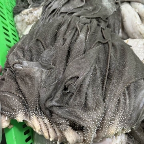 Lá sách bò (Dạ dày) tươi ngon