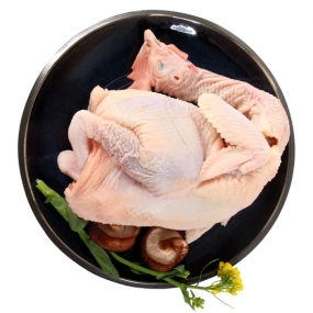 mua gà vịt quận 9 ở đâu