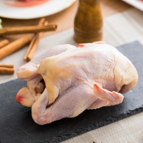 Gà ta leo cây (gà mái) sống, nuôi thiên nhiên Size 1-1,5 kg/con