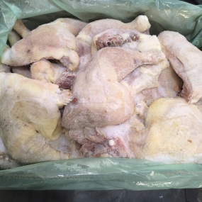 Đùi góc tư lớn Pilgrim