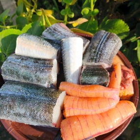 Cá xương xanh thiên nhiên