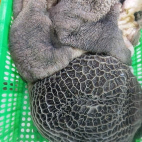 Tổ ong đen bò tươi