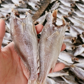 Khô cá đù 3 nắng chất lượng ngon tuyệt Size 15-20 con/kg