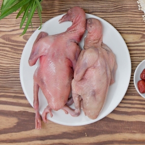 Bồ Câu Thịt Hóc Môn