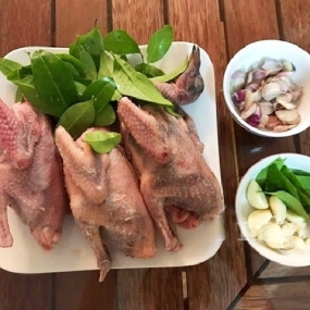 Địa Chỉ Bán Bồ Câu Thịt Quận 5 Uy Tín, Giá Tốt