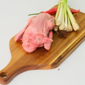 Địa Chỉ Bán Bồ Câu Thịt Quận 12 Uy Tín, Giá Tốt