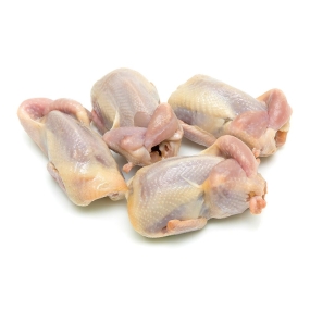 Địa Chỉ Bán Bồ Câu Thịt Quận 7 Uy Tín, Giá Tốt