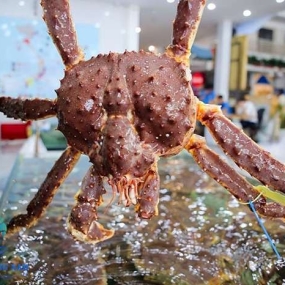 Cua hoàng đế Alaska (1.2 - 4 kg)