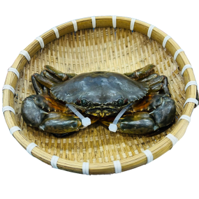 Cua Thịt Lớn (Size 0.35–0.7kg/con)