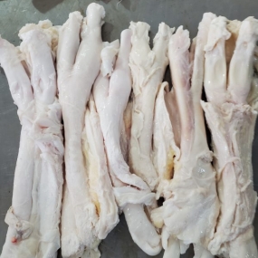 Gân Y tươi