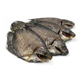 Cá sặc trứng 1 nắng thượng hạng Size 8-10 con/kg