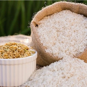 Đại Lý Gạo Phú Yên