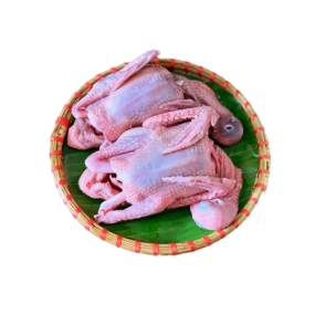 Đặt mua bồ câu thịt giao nhanh quận 1