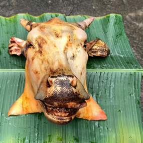 Đầu bò nguyên cái