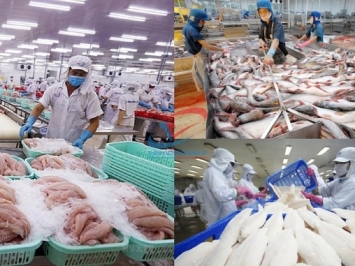 Tổng Kho Thịt Heo – Bò – Gà – Hải Sản Tại Cà Mau – Giá Sỉ & Lẻ – Giao Nhanh