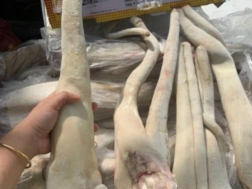 Kho Thịt Heo Bò Gà Hải Sản Tại Phú Yên | Giá Sỉ Uy Tín