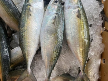 VIFOOD – Hải Sản Tươi Sống Quận 5 Giá Rẻ, Giao Nhanh