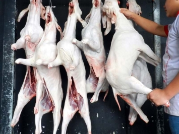 Địa chỉ bán thịt dê tươi tại Quận 7 giá rẻ uy tín chất lượng