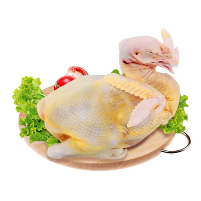 Gà ta thả vườn
