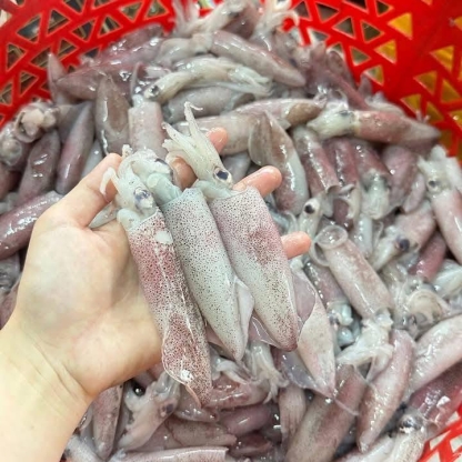 Mực trứng đông lạnh loại 1 size 8-10 con/kg