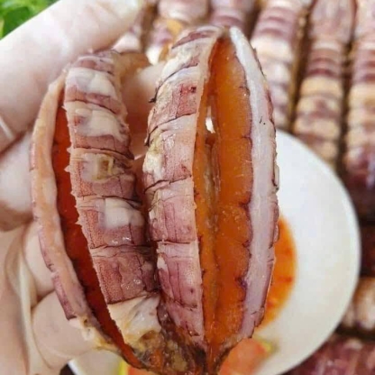 Tôm tít gạch (bề bề) tách vỏ đông lạnh 30-40 con/kg