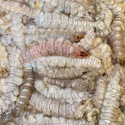 Tôm tít (bề bề) tách vỏ đông lạnh 50-70 con/kg