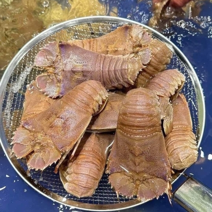Tôm mũ ni trắng (tôm vỗ) tươi sống 4-6 con/kg