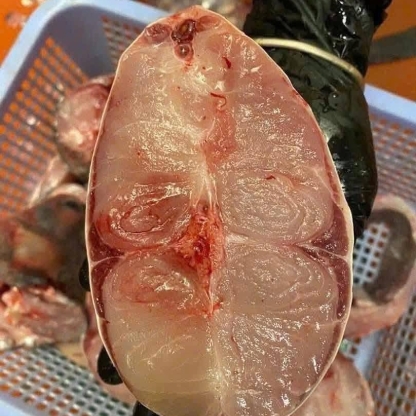 Cá trắm đen còn sống Size 3-4 kg/con