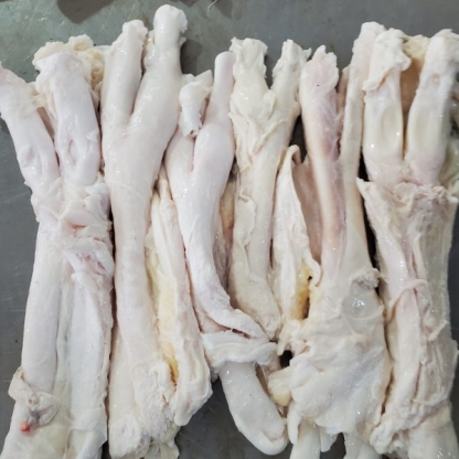 Gân Y tươi