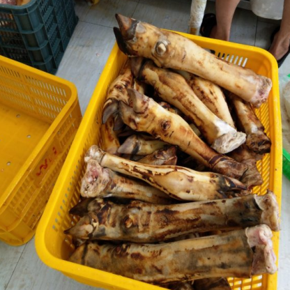 Dựng bò nguyên cái