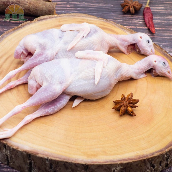 bồ câu thịt cho quán ăn quận 3