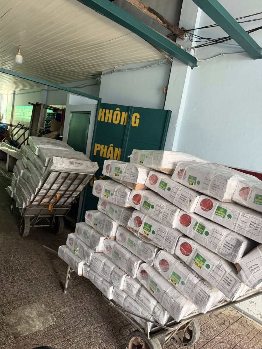 Kho lạnh tại Bạc Liêu