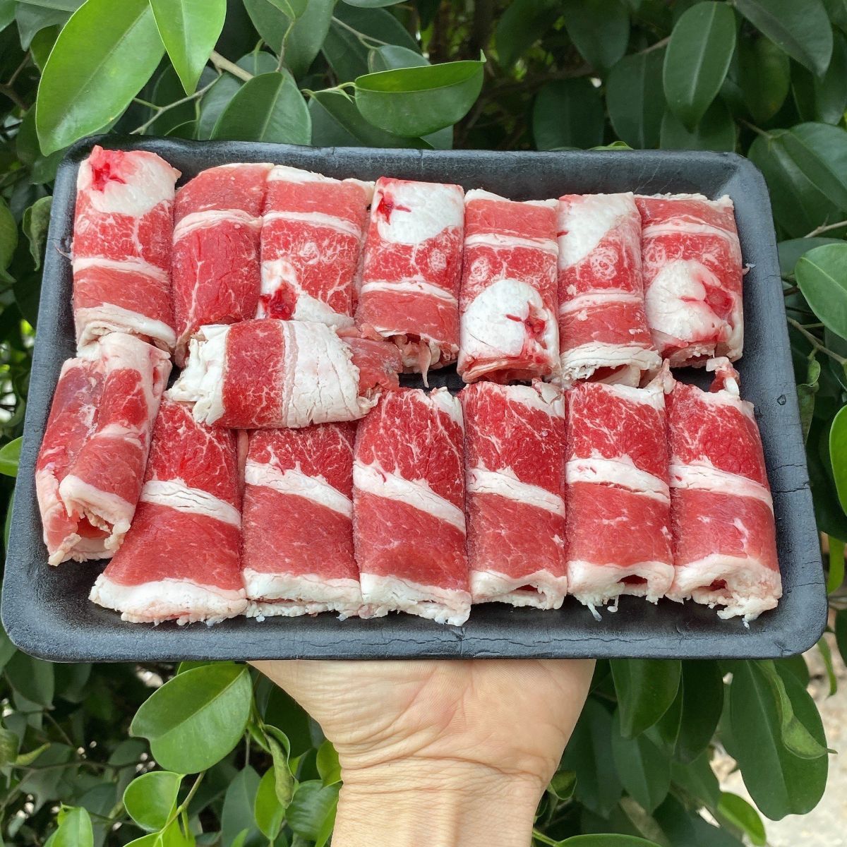 Thịt Bò Nhập Khẩu Tại Phú Quốc – Bán Sỉ & Lẻ – Giao Tận Nơi