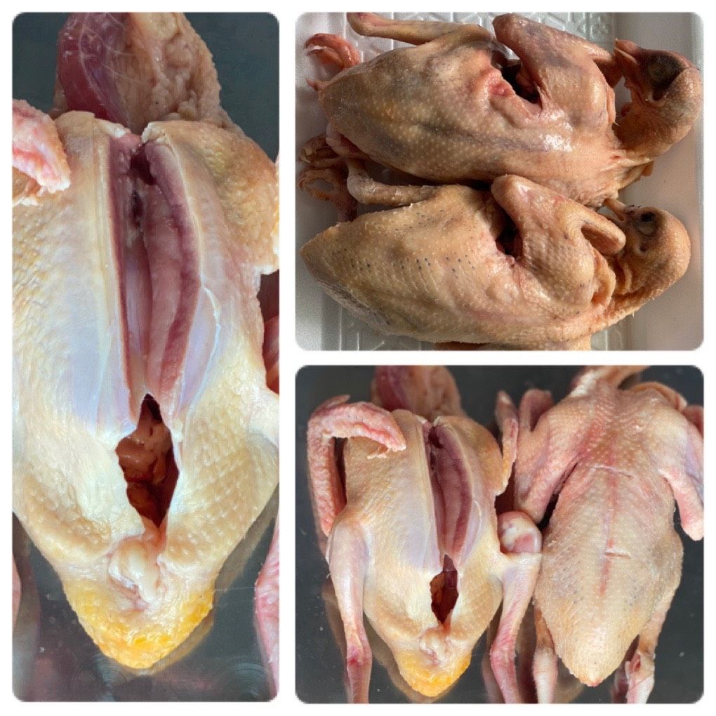 Bán Bồ Câu Thịt Quận 6 | Bồ Câu Ra Ràng, Non, Ngọt Thịt