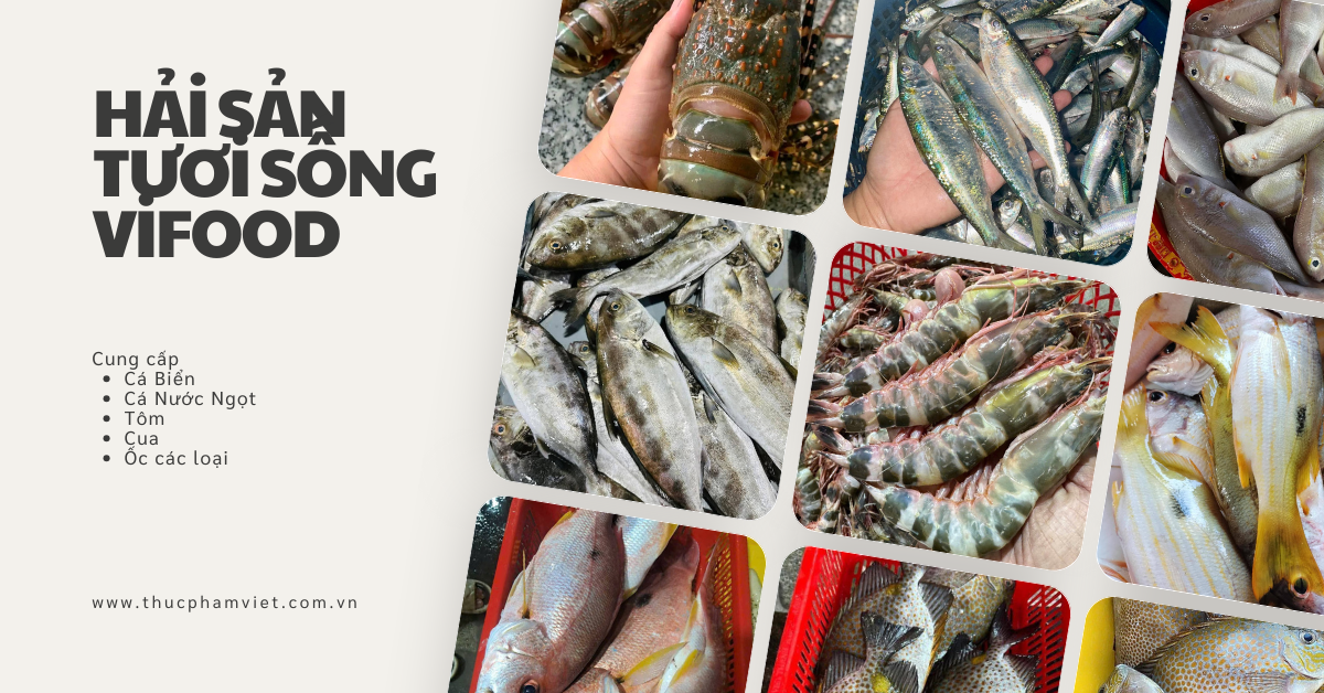 Vựa hải sản tươi sống tại Quận 4 TP.HCM