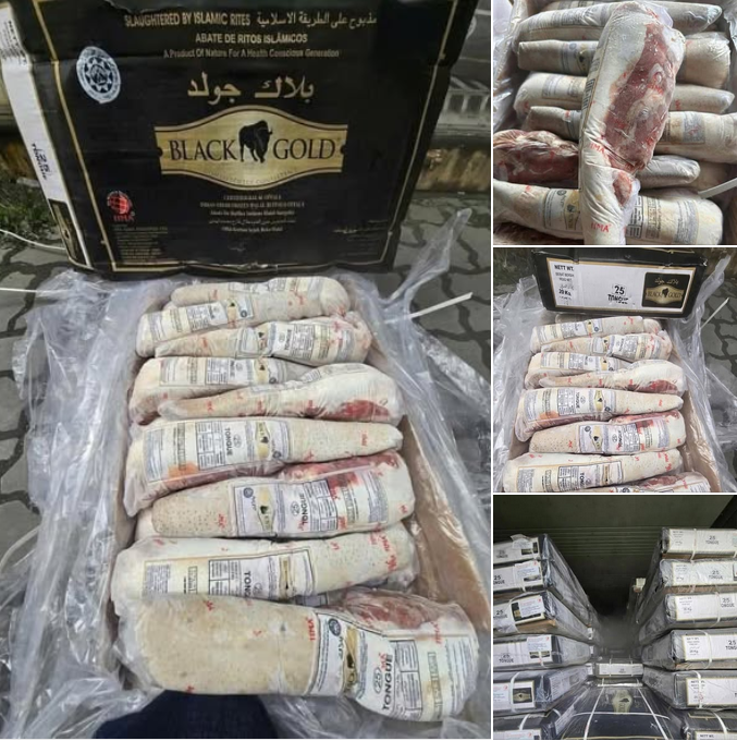 Kho thực phẩm đông lạnh Kiên Giang